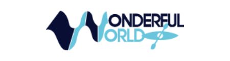 wonderful-world